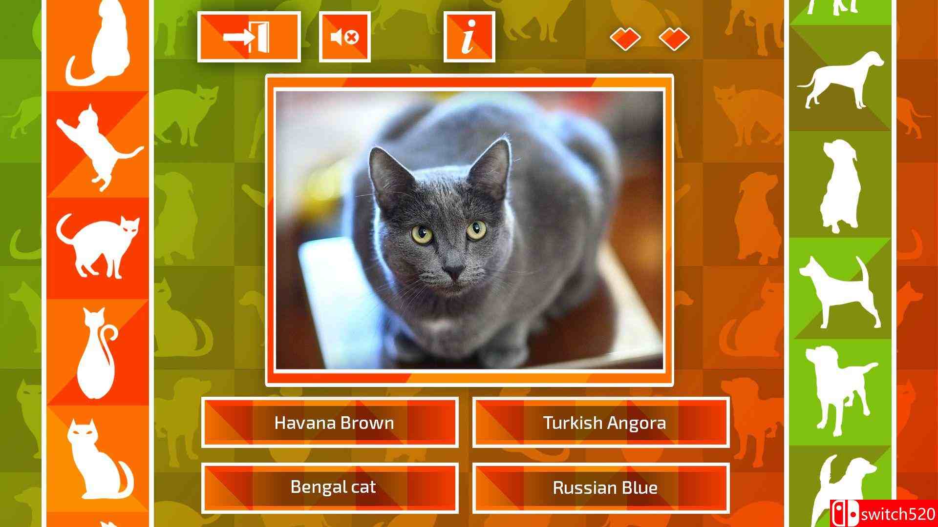 《JQ：狗和猫》游戏截图5