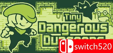 《微型危险地下城（Tiny Dangerous Dungeons）》DARKZER0硬盘版[EN]_0