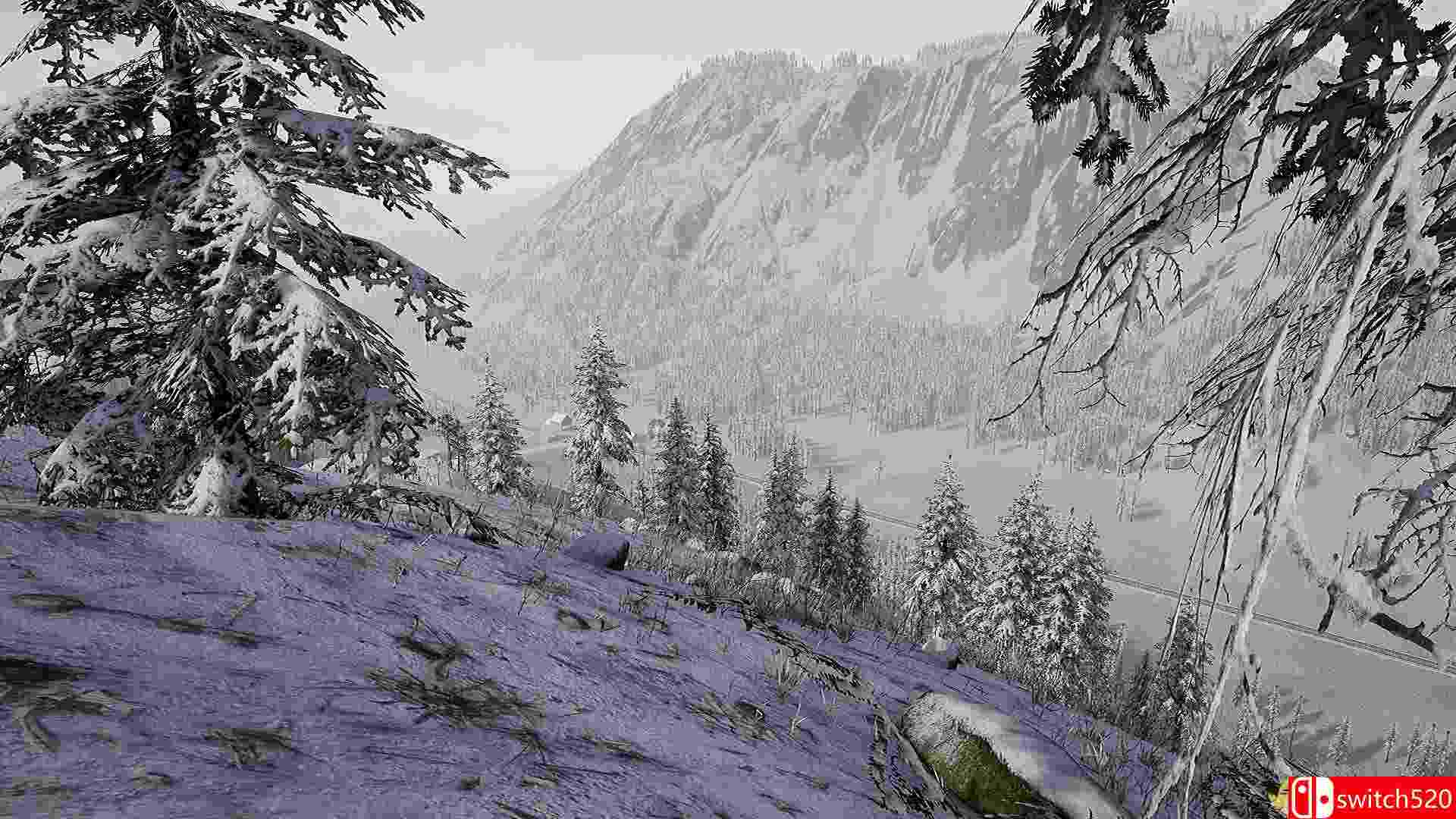 《深入敌后：北极鹰行动（Beyond Enemy Lines: Operation Arctic Hawk）》PLAZA镜像版[EN]_6