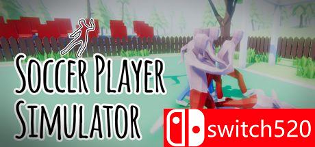 《足球运动员模拟器（Soccer Player Simulator）》DARKZER0硬盘版[EN]_0