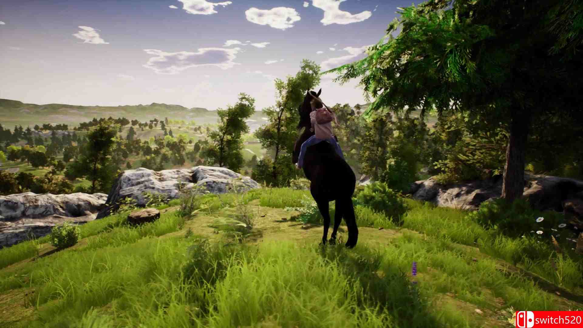 《风暴：勇敢的骑手（Windstorm / Ostwind - Ari's Arrival）》PLAZA镜像版[EN]_3