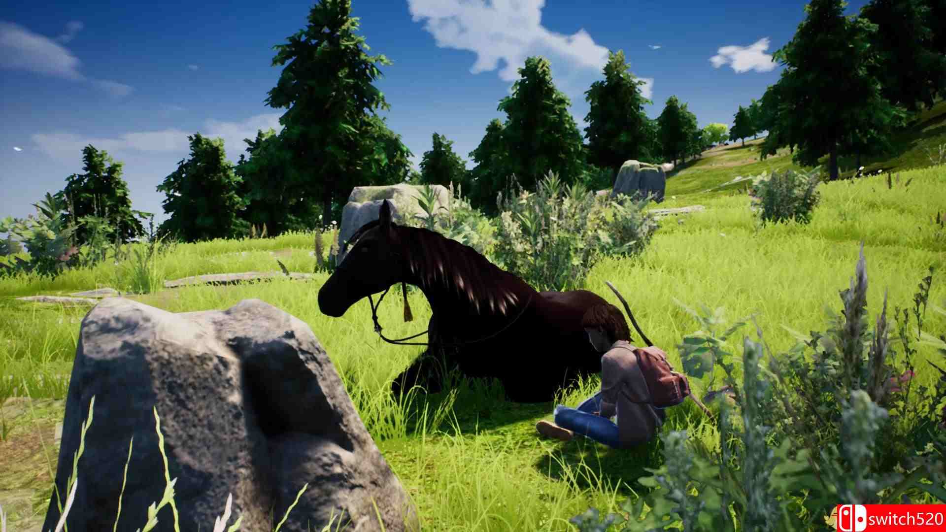 《风暴：勇敢的骑手（Windstorm / Ostwind - Ari's Arrival）》PLAZA镜像版[EN]_4