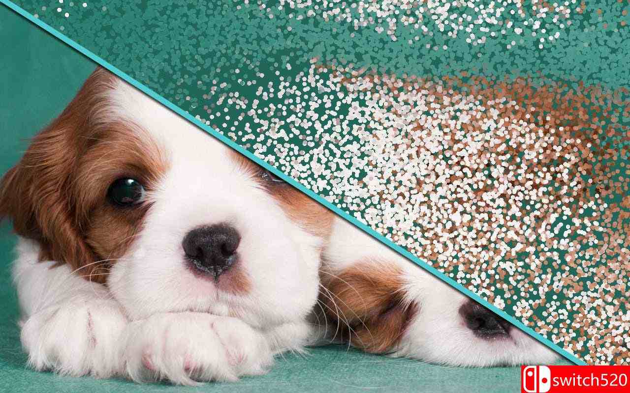 《DOTSEE（DOTSEE）》RAZOR硬盘版[EN]_3