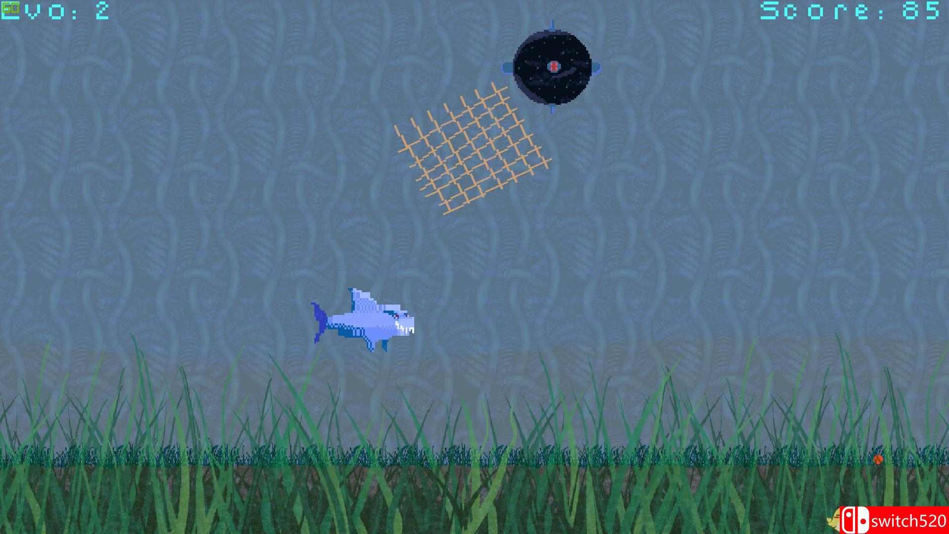 《鲨鱼（SHARK）》游戏截图2