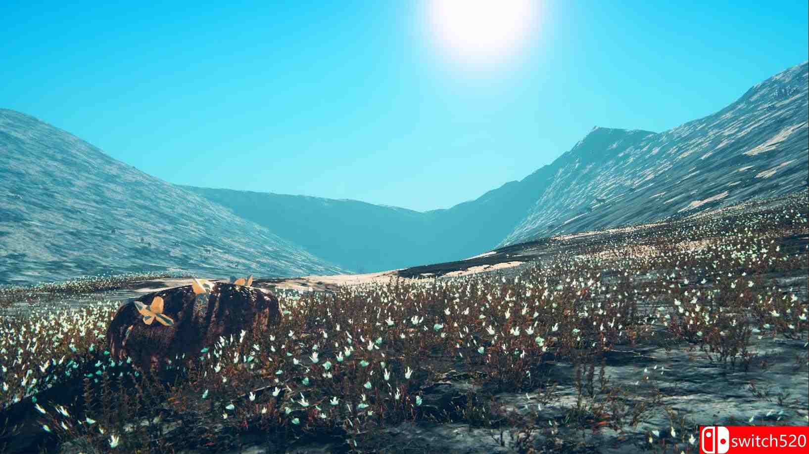 《荒野星球》游戏截图3