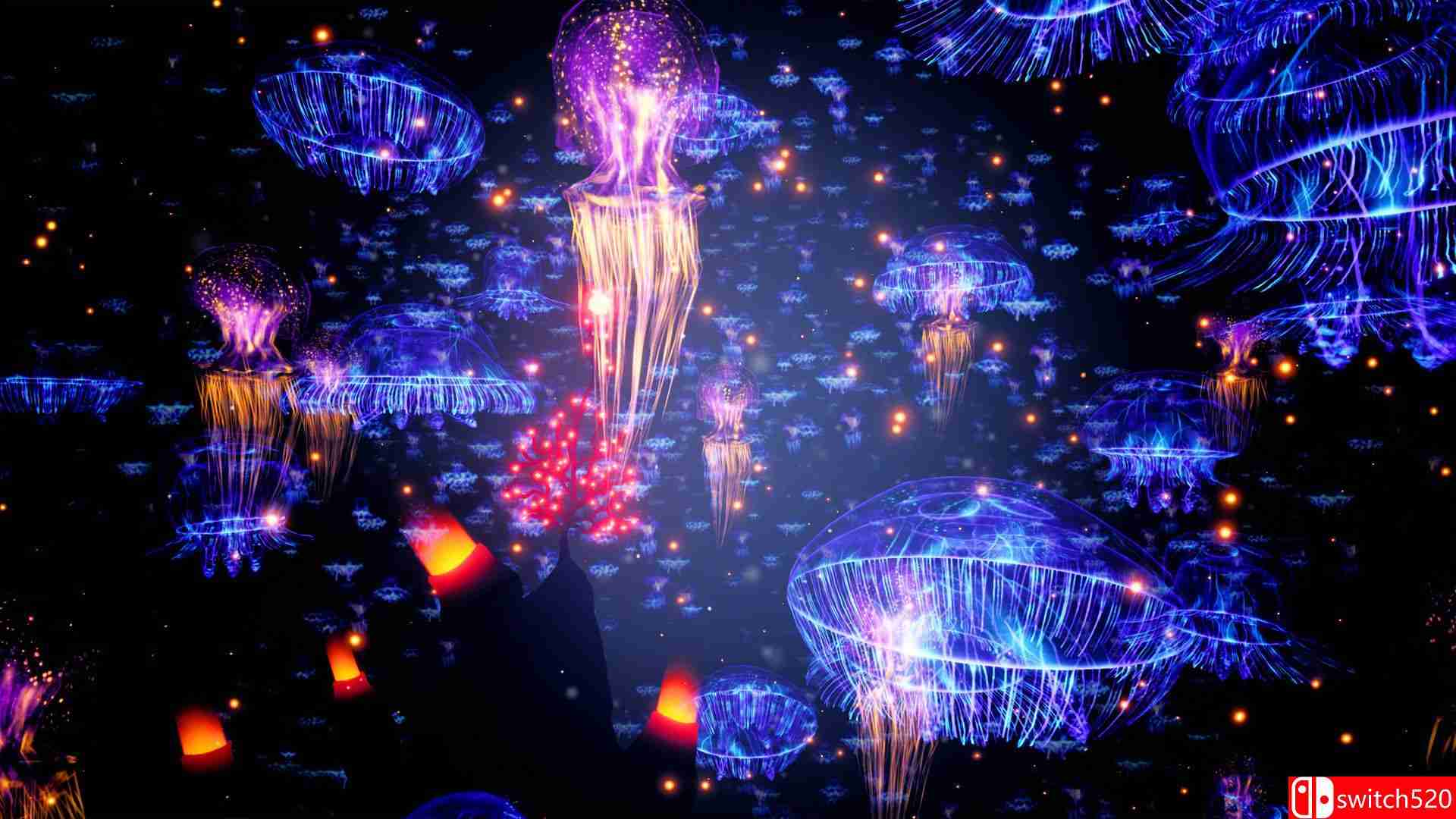 《珊瑚（Koral）》游戏截图2