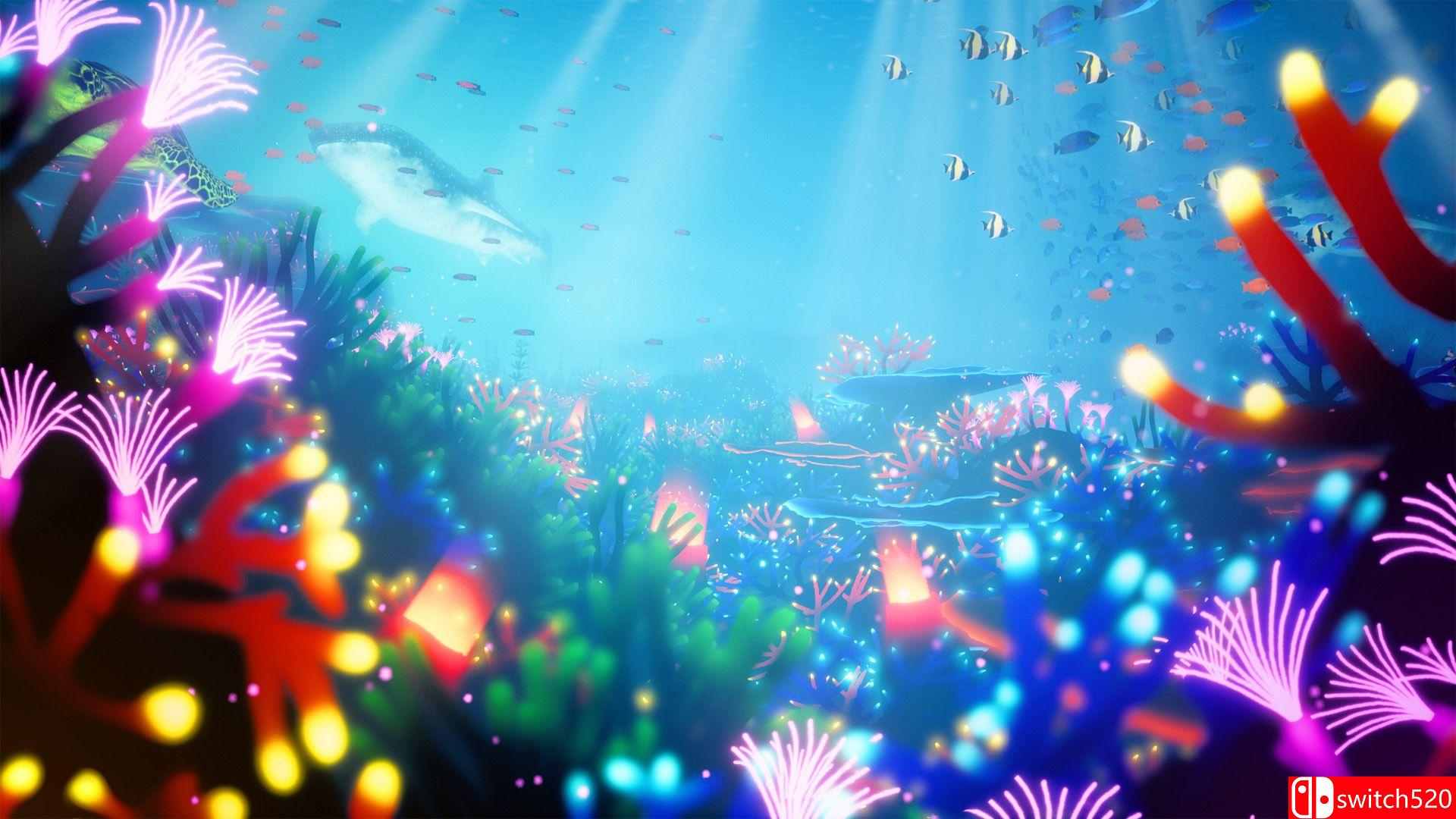 《珊瑚（Koral）》游戏截图1