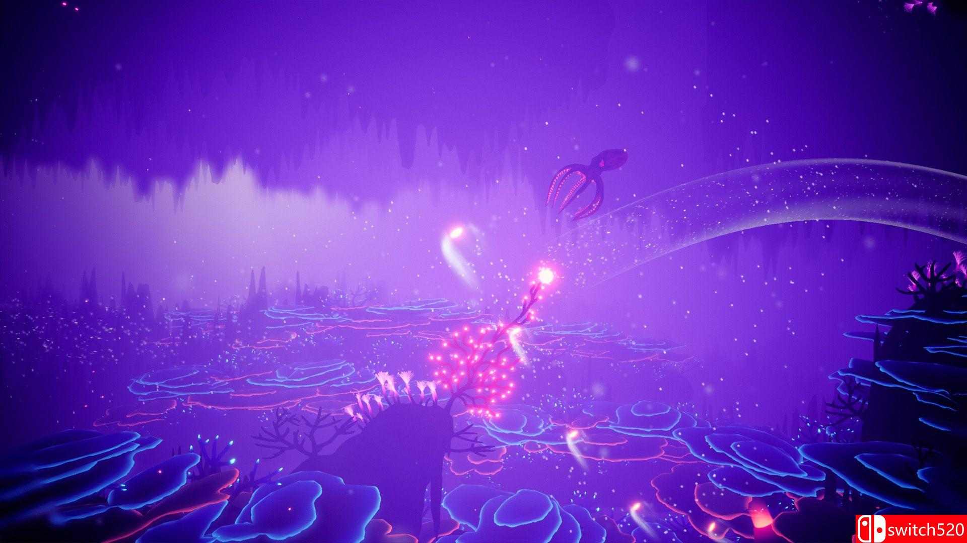 《珊瑚（Koral）》游戏截图4