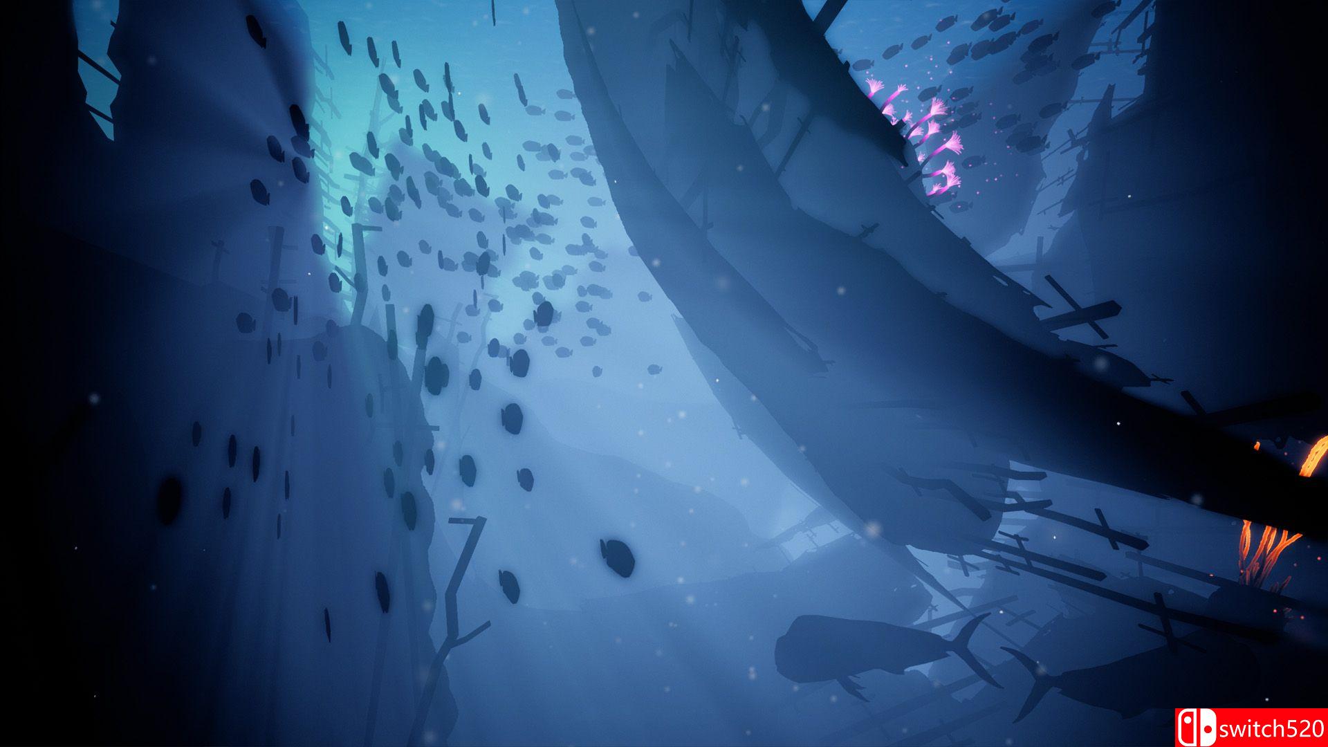 《珊瑚（Koral）》游戏截图5