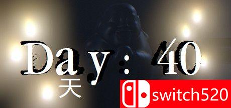 《40天（Day: 40）》游戏封面