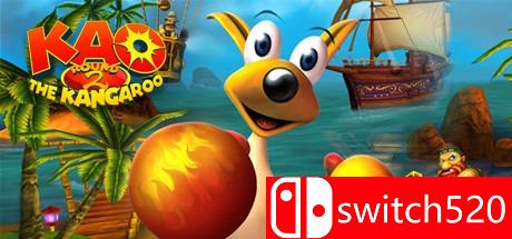 《袋鼠小天王2》游戏封面