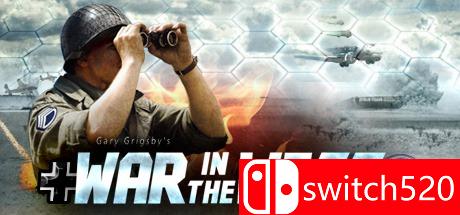 《加里的世界大战：西线（Gary Grigsby's War in the West）》集成DLC TiNYiSO镜像版[EN]_0