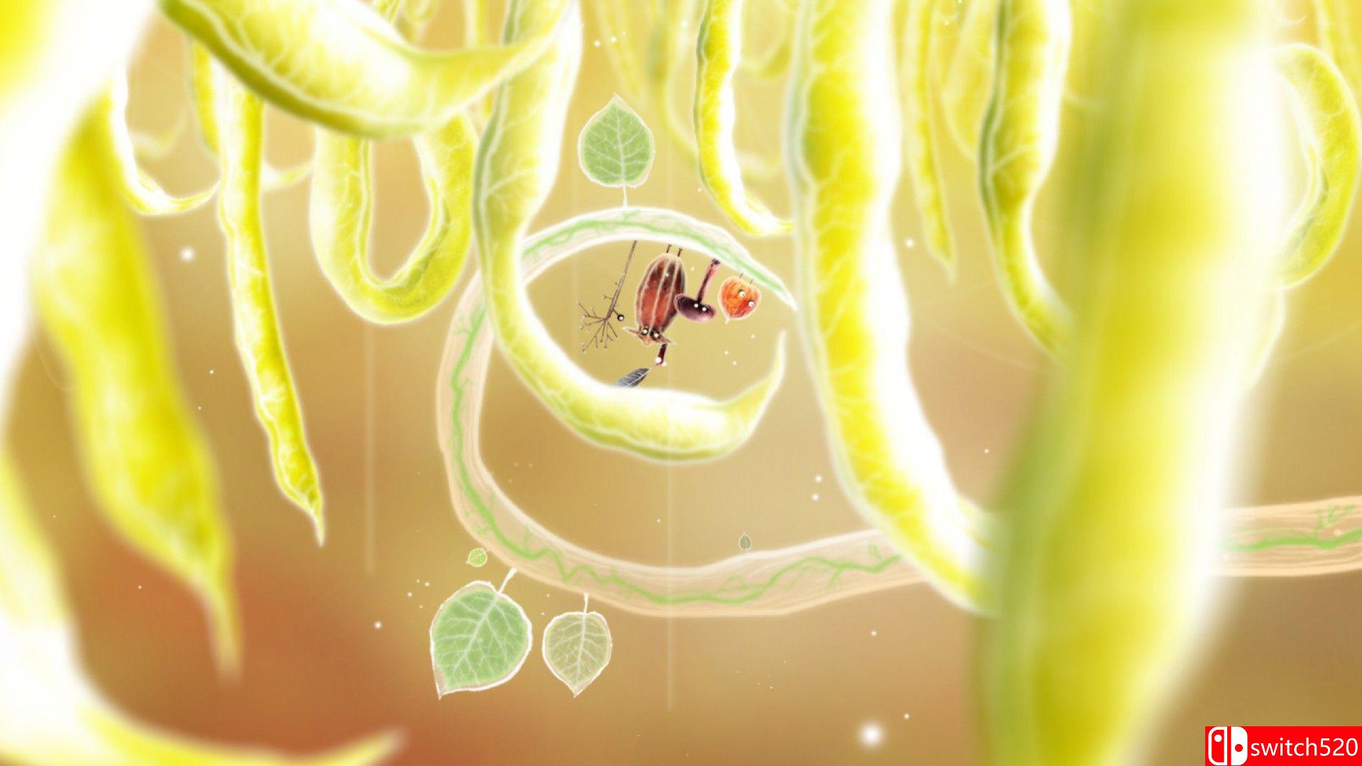 植物精灵HD版游戏截图3