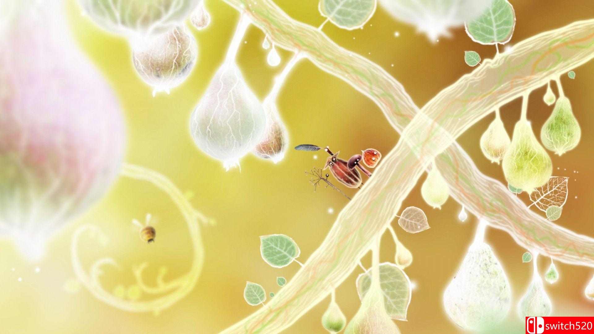 植物精灵HD版游戏截图5