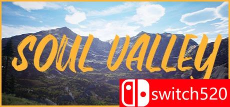 《灵魂山谷（Soul Valley）》HOODLUM镜像版[EN]_0