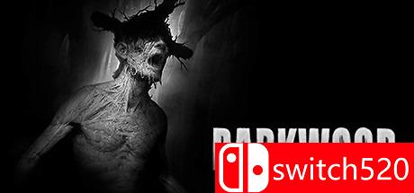 阴暗森林游戏主图