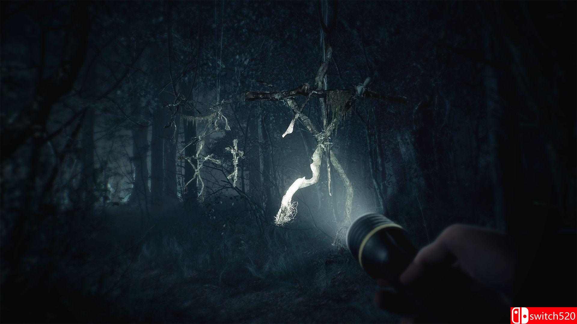 《布莱尔女巫》游戏截图2