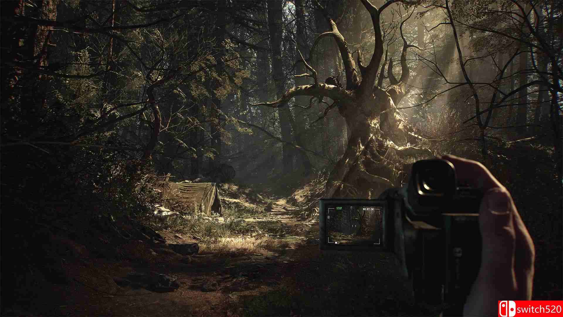 《布莱尔女巫》游戏截图1