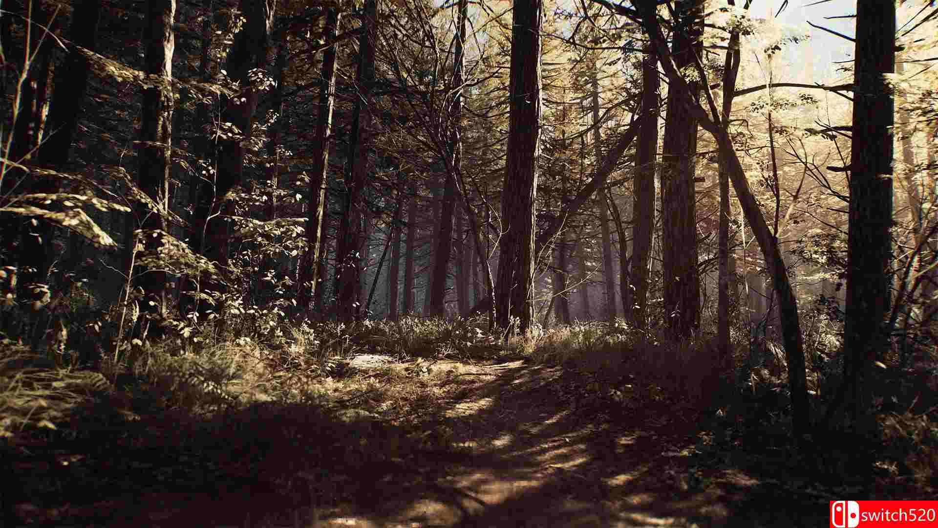 《布莱尔女巫》游戏截图3