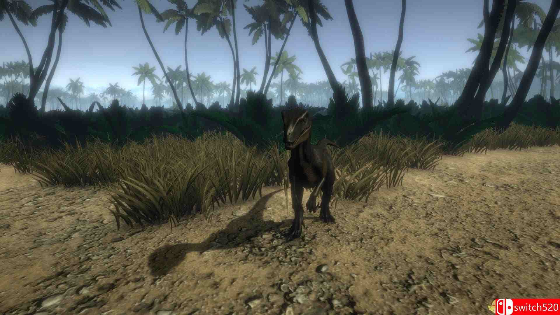 《岛1979（Island 1979）》TiNYiSO镜像版[EN]_3