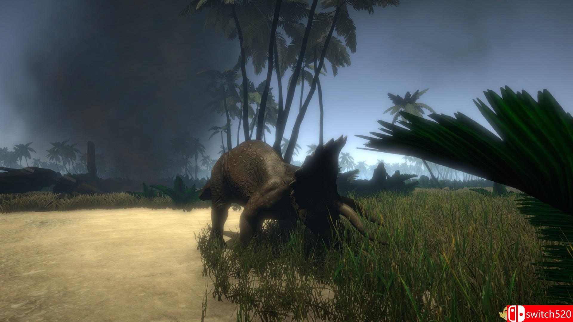 《岛1979（Island 1979）》TiNYiSO镜像版[EN]_4