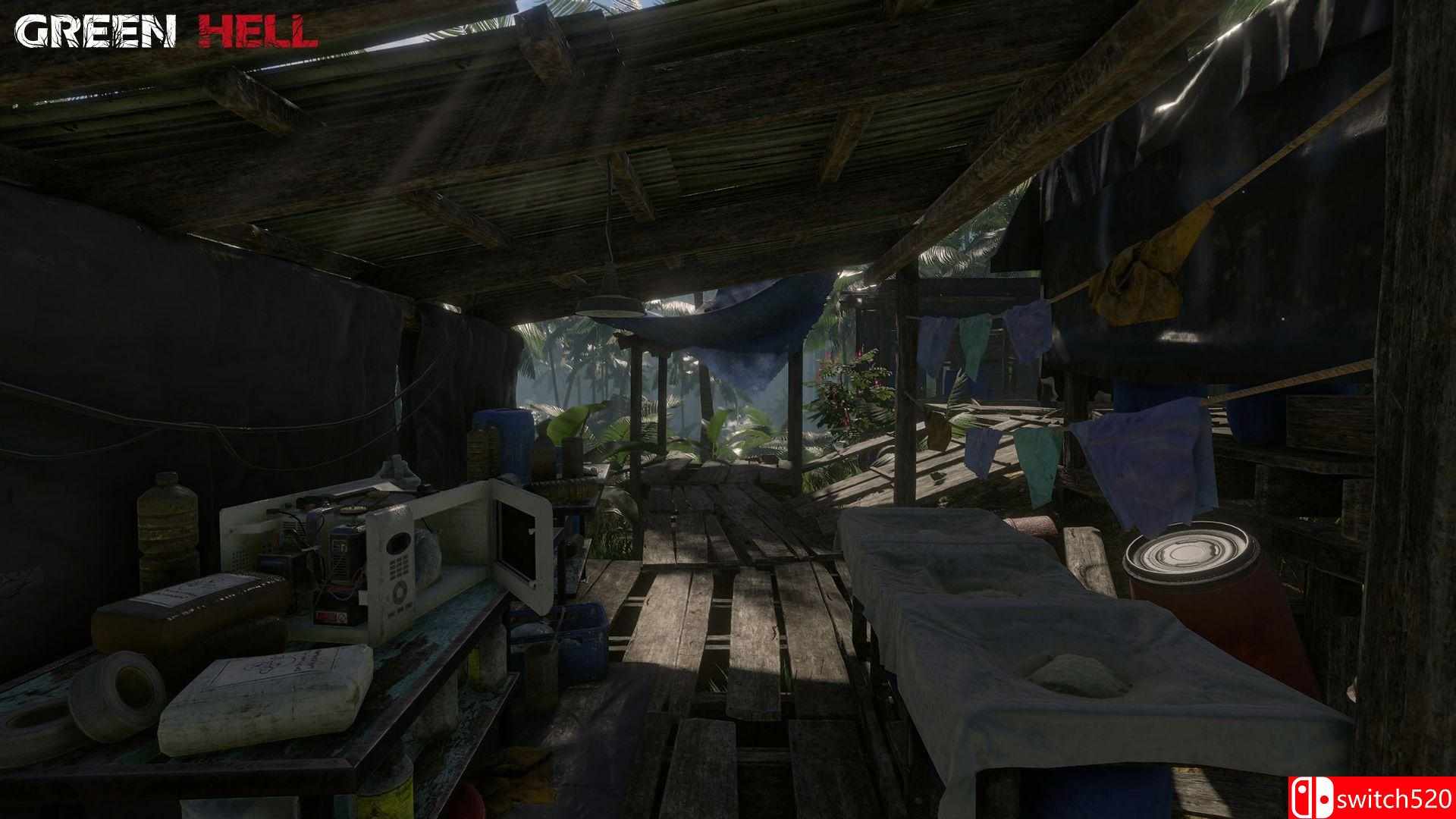 《绿色地狱》游戏截图5