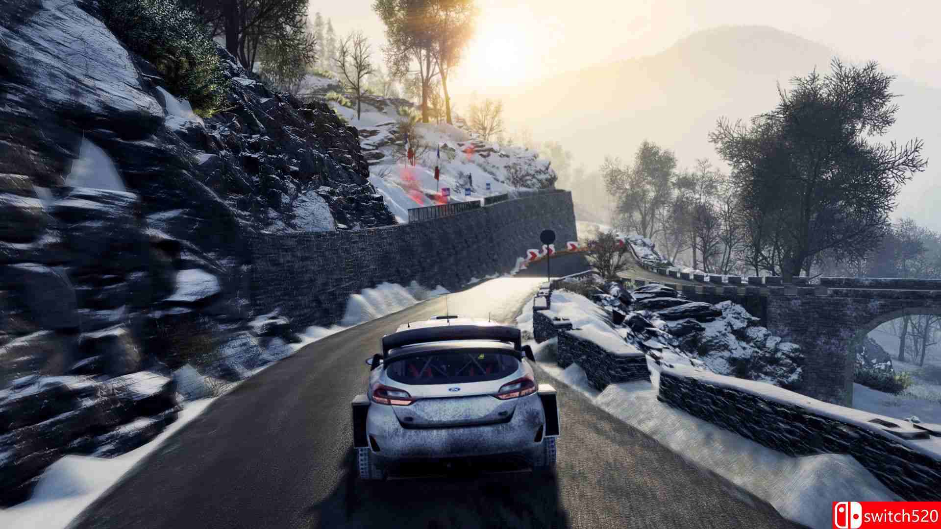 《世界汽车拉力锦标赛8（WRC 8 FIA World Rally Championship）》CODEX镜像版[CN/JP/EN]_3