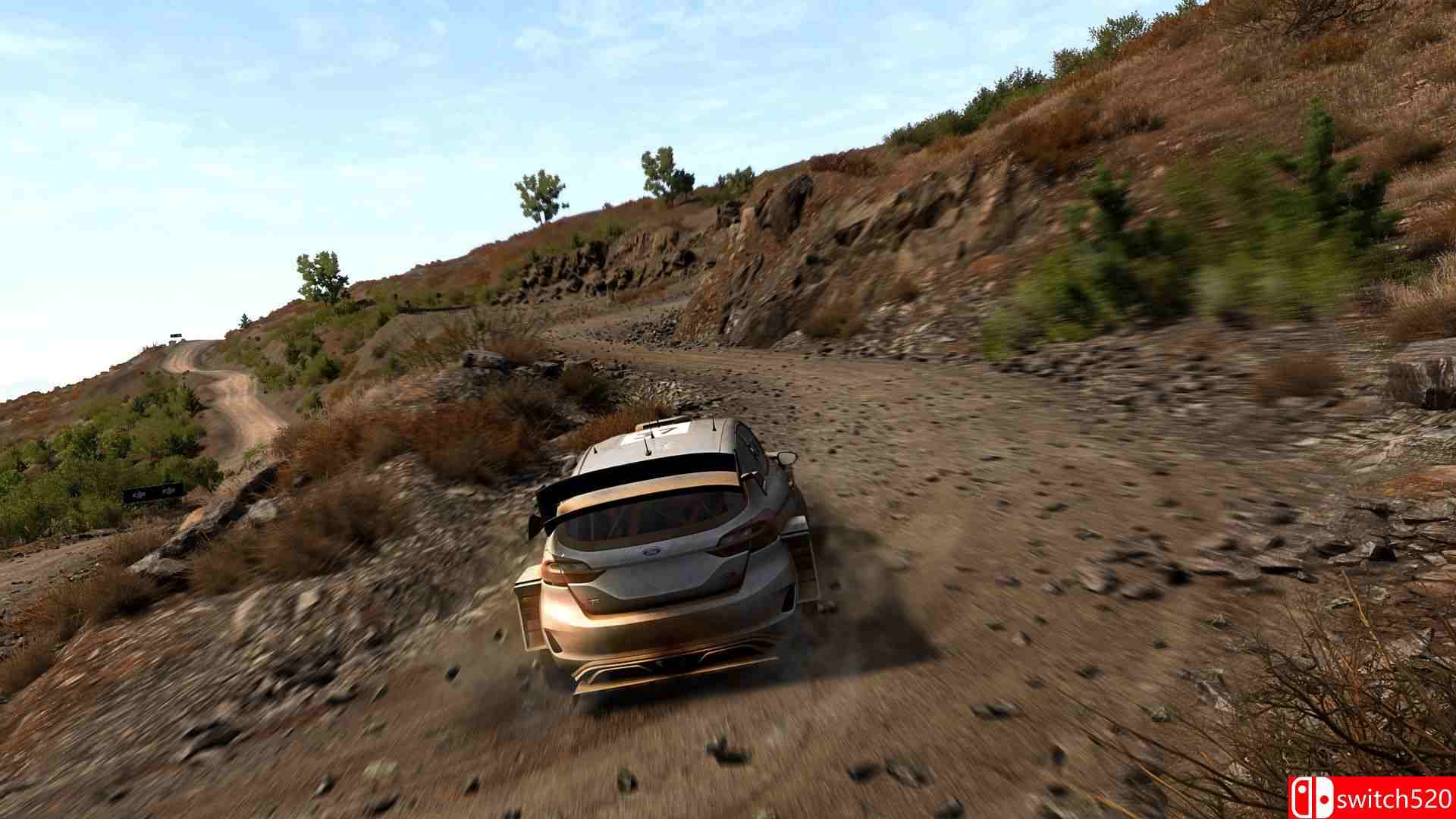 《世界汽车拉力锦标赛8（WRC 8 FIA World Rally Championship）》CODEX镜像版[CN/JP/EN]_4