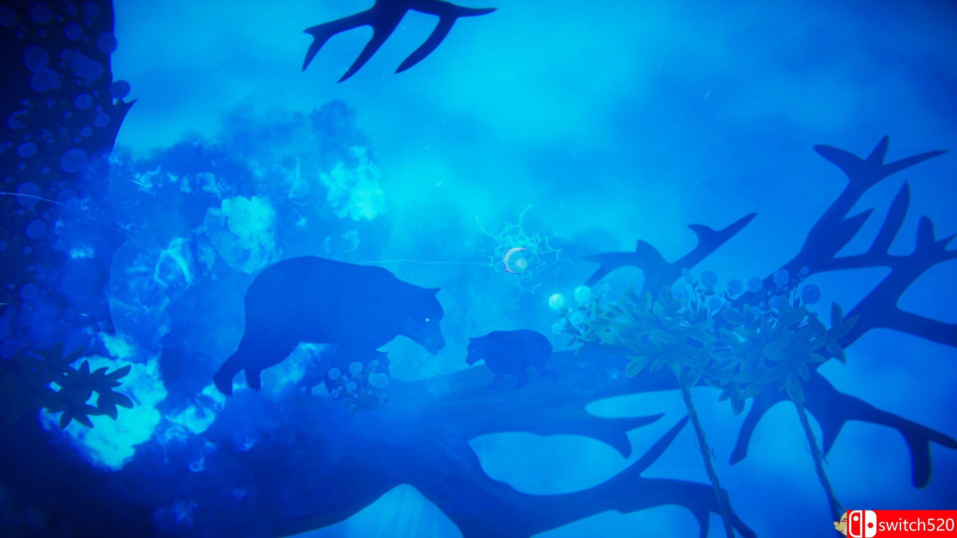 《OSK》游戏截图3