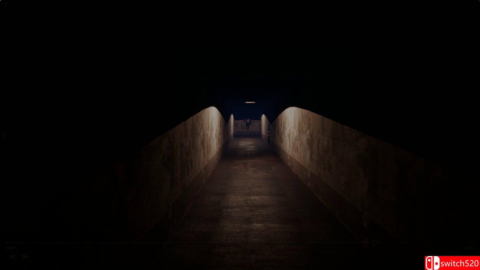 《帕尔米拉孤儿院（Palmyra Orphanage）》SKIDROW镜像版[CN/EN]_3