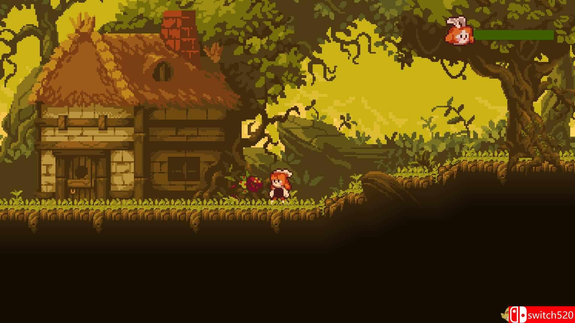 《疯狂植物》游戏截图2