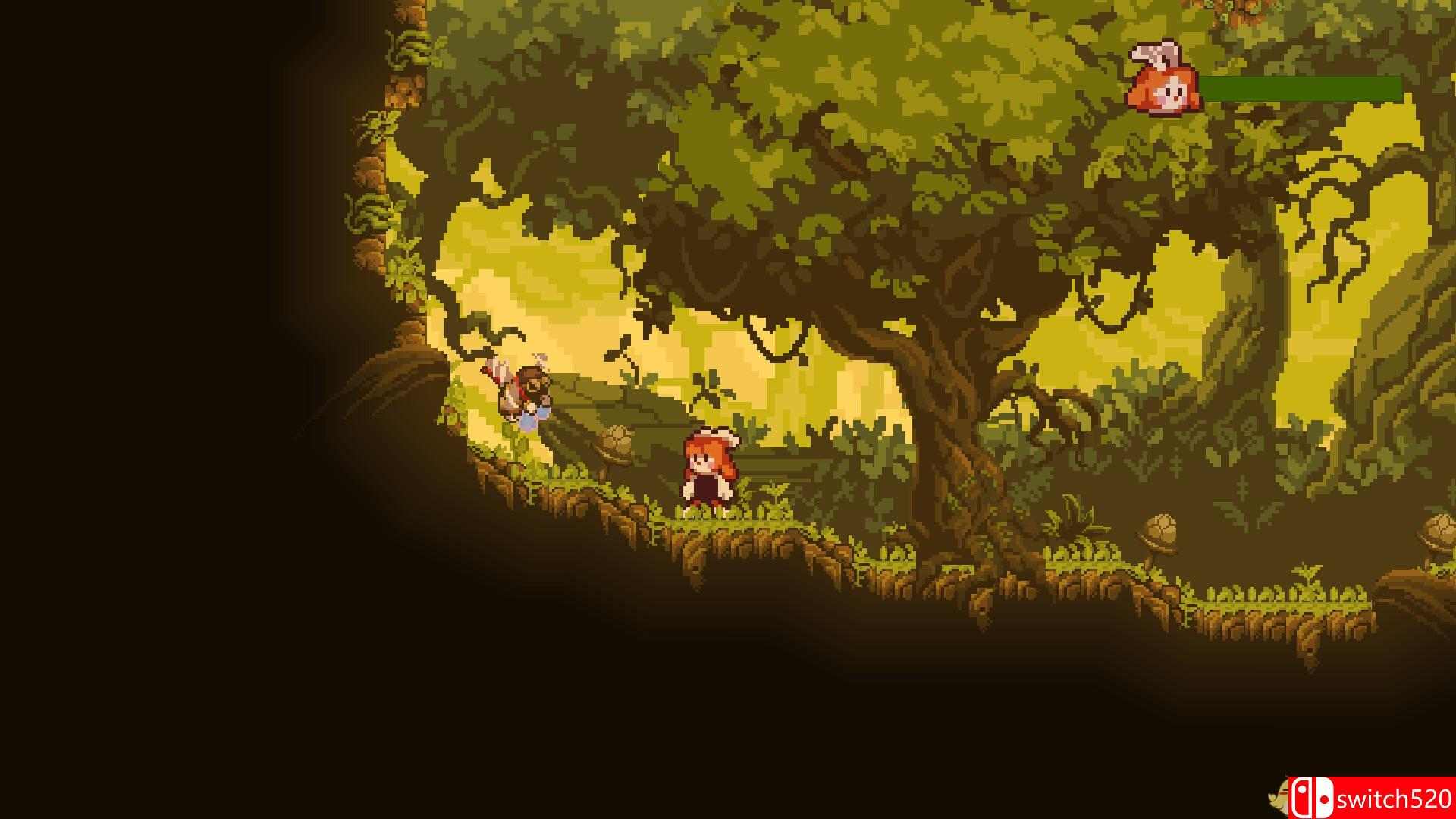 《疯狂植物》游戏截图4