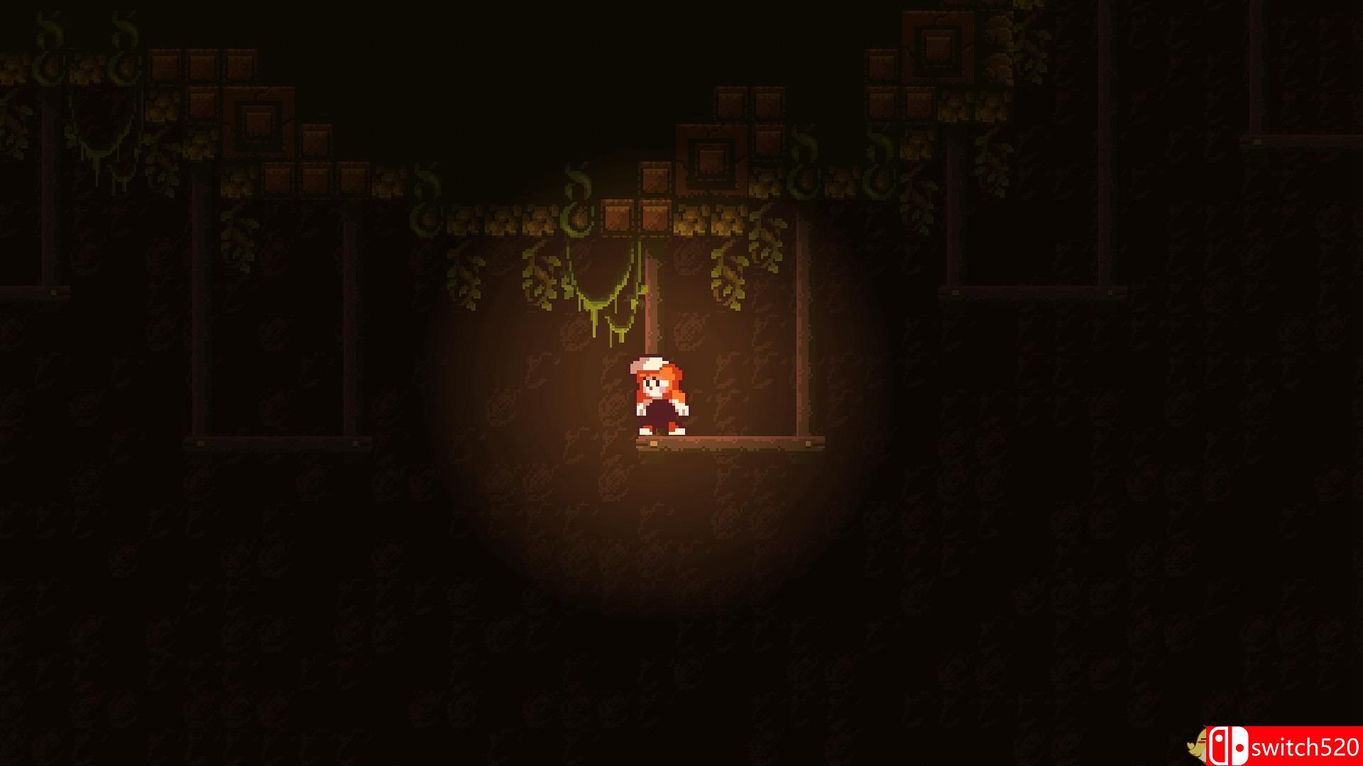 《疯狂植物》游戏截图5