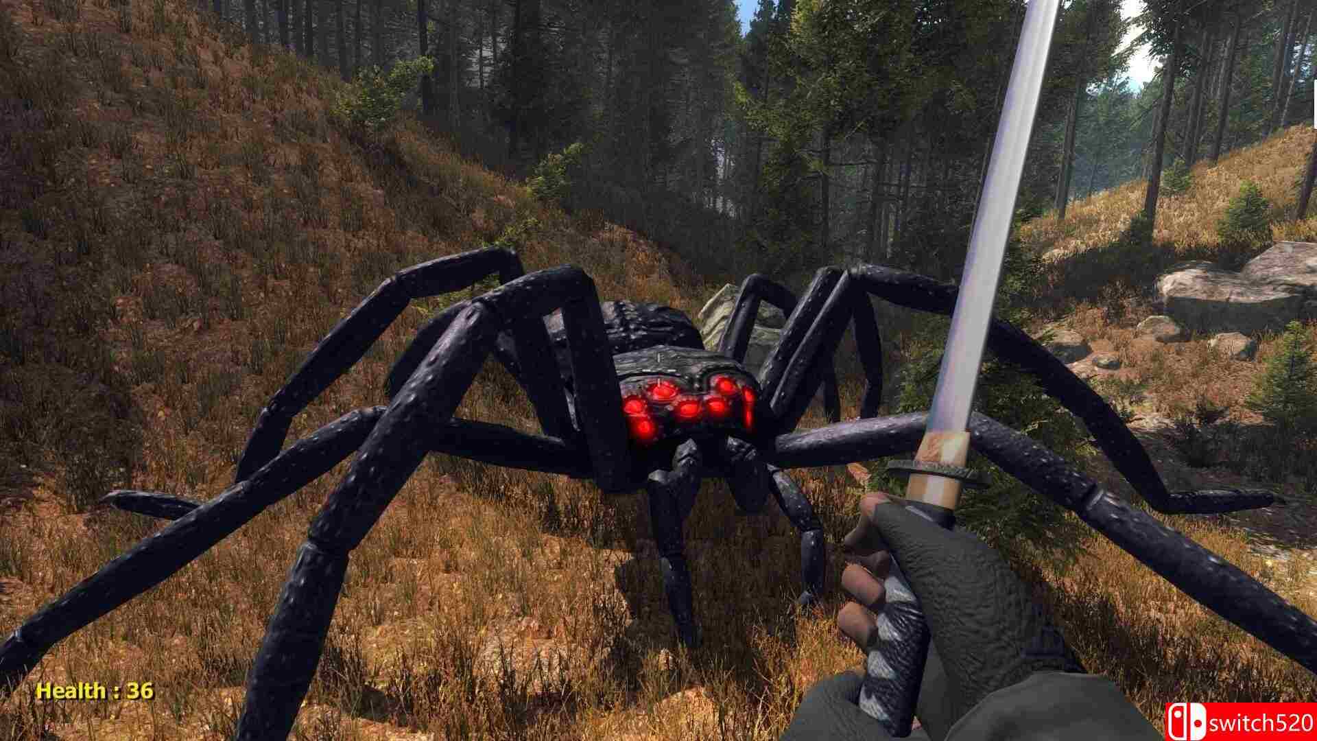 《森林蜘蛛（Forest spiders）》DARKZER0硬盘版[EN]_2