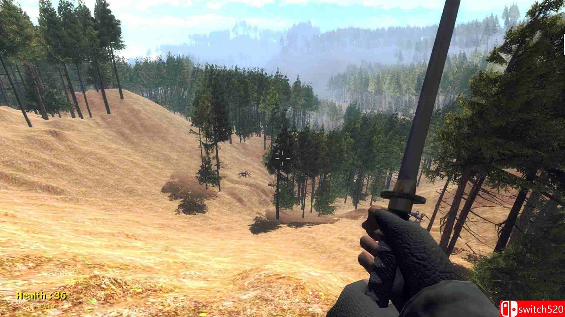 《森林蜘蛛（Forest spiders）》DARKZER0硬盘版[EN]_5