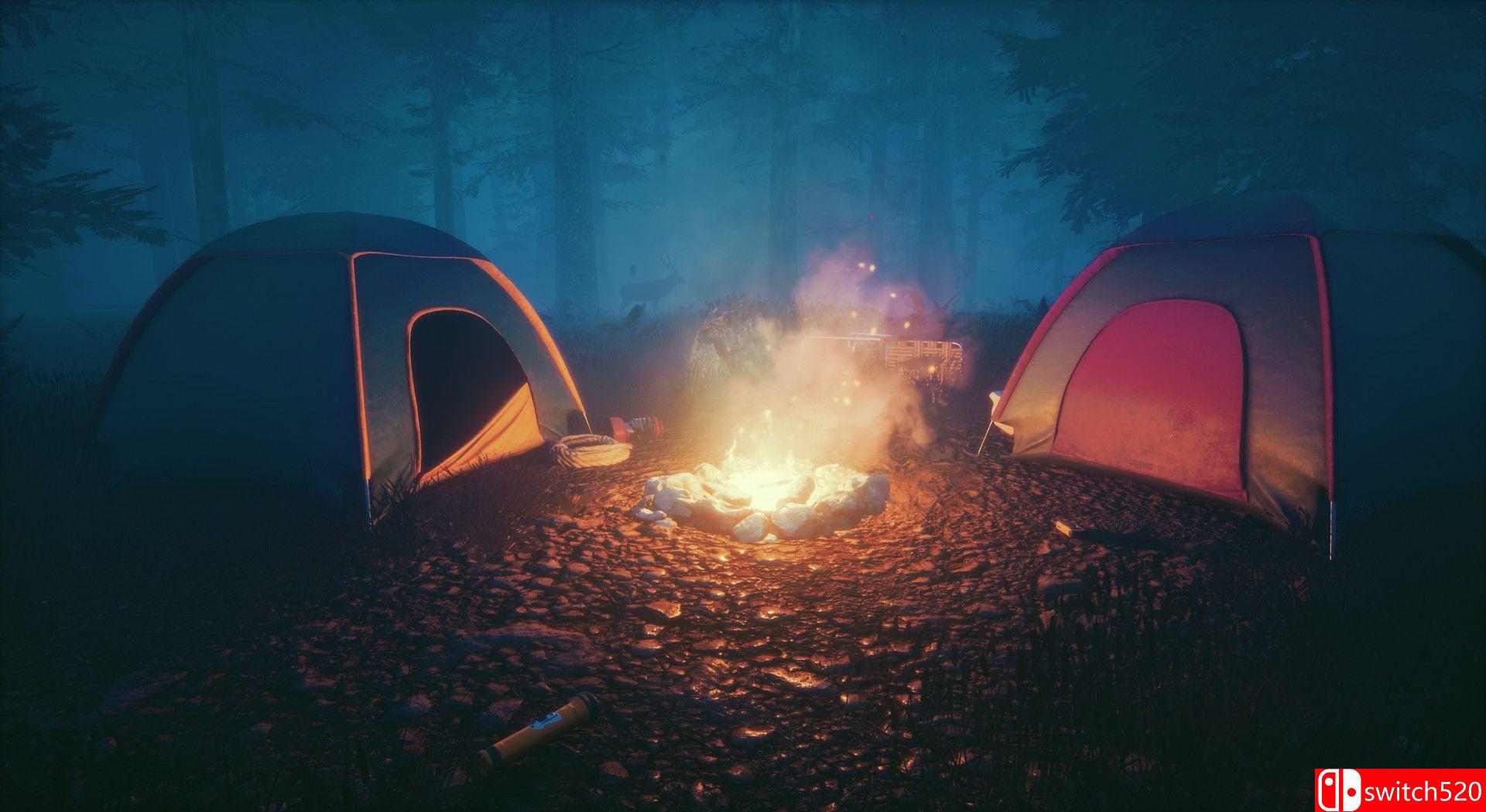 《野外》游戏截图2