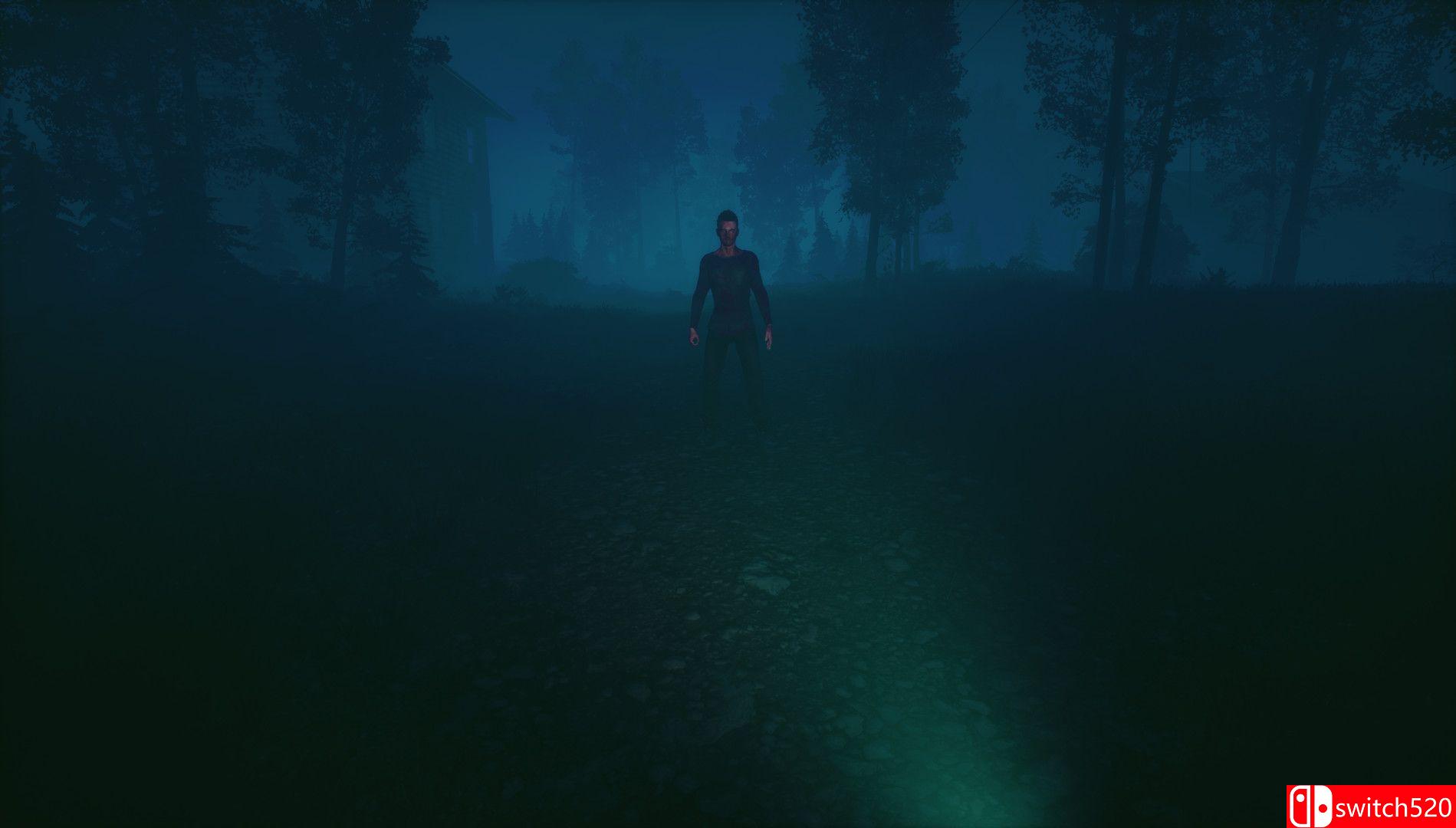 《野外》游戏截图1