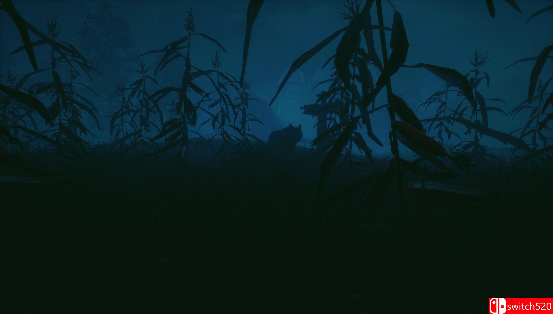 《野外》游戏截图5