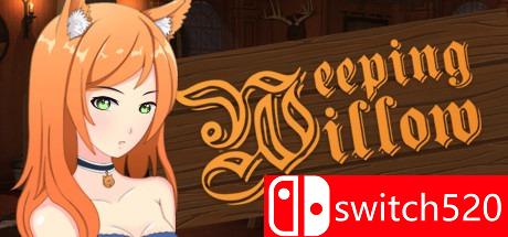 《垂柳（Weeping Willow - Detective Visual Novel）》DARKZER0硬盘版[EN]_0