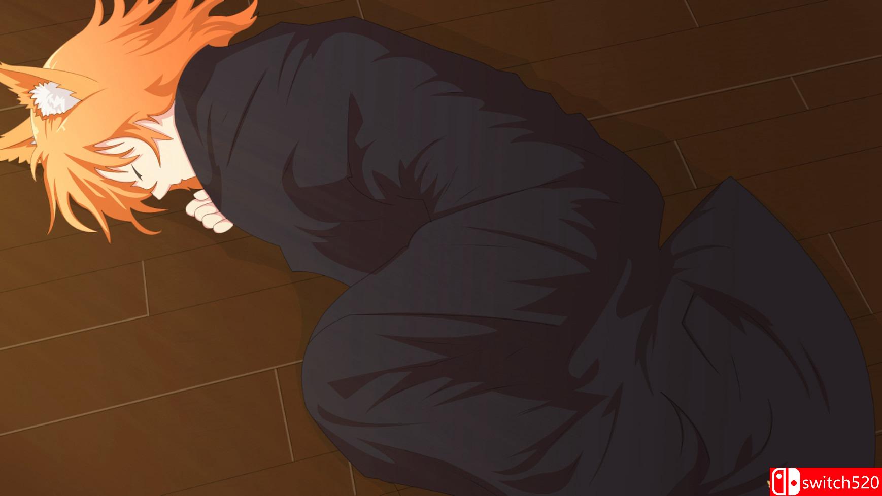 《垂柳（Weeping Willow - Detective Visual Novel）》DARKZER0硬盘版[EN]_4