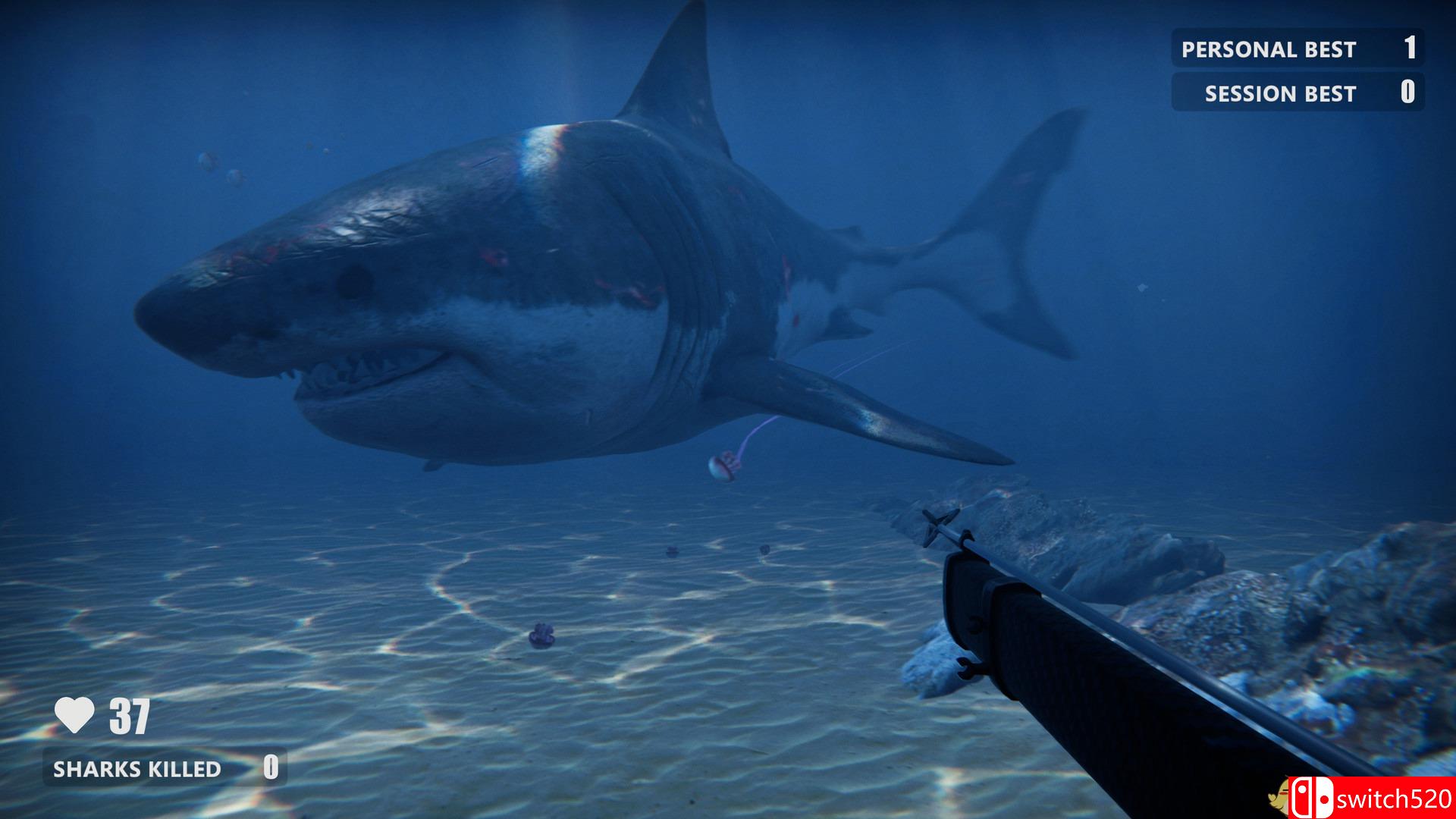 《死亡水域（Death in the Water）》DARKZER0硬盘版[CN/EN]_2