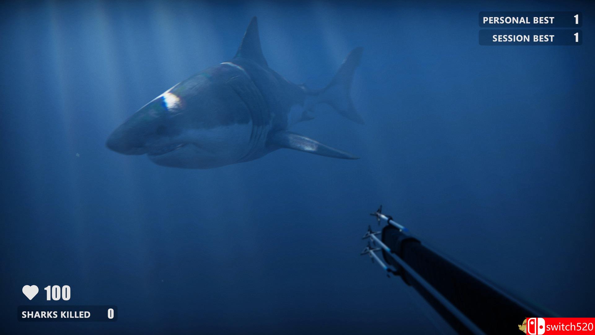 《死亡水域（Death in the Water）》DARKZER0硬盘版[CN/EN]_3