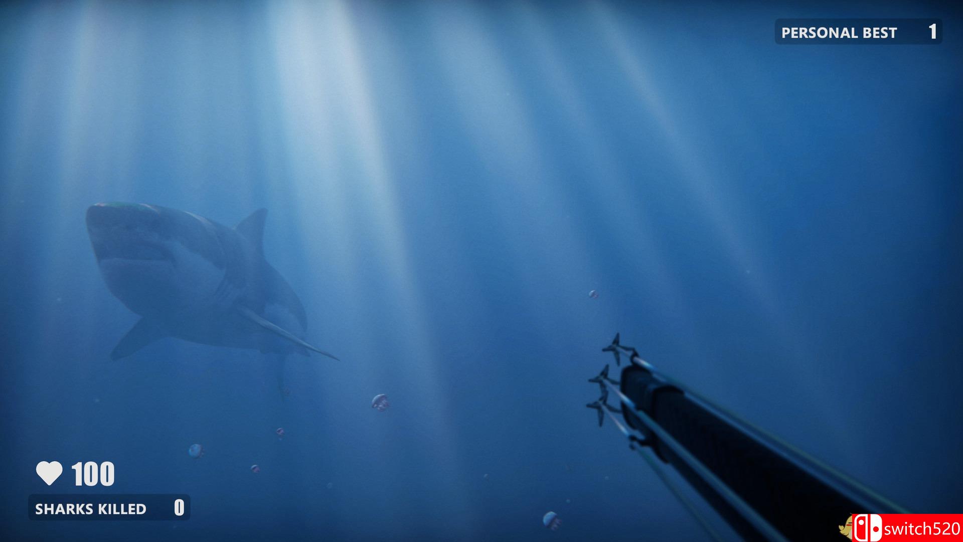 《死亡水域（Death in the Water）》DARKZER0硬盘版[CN/EN]_4