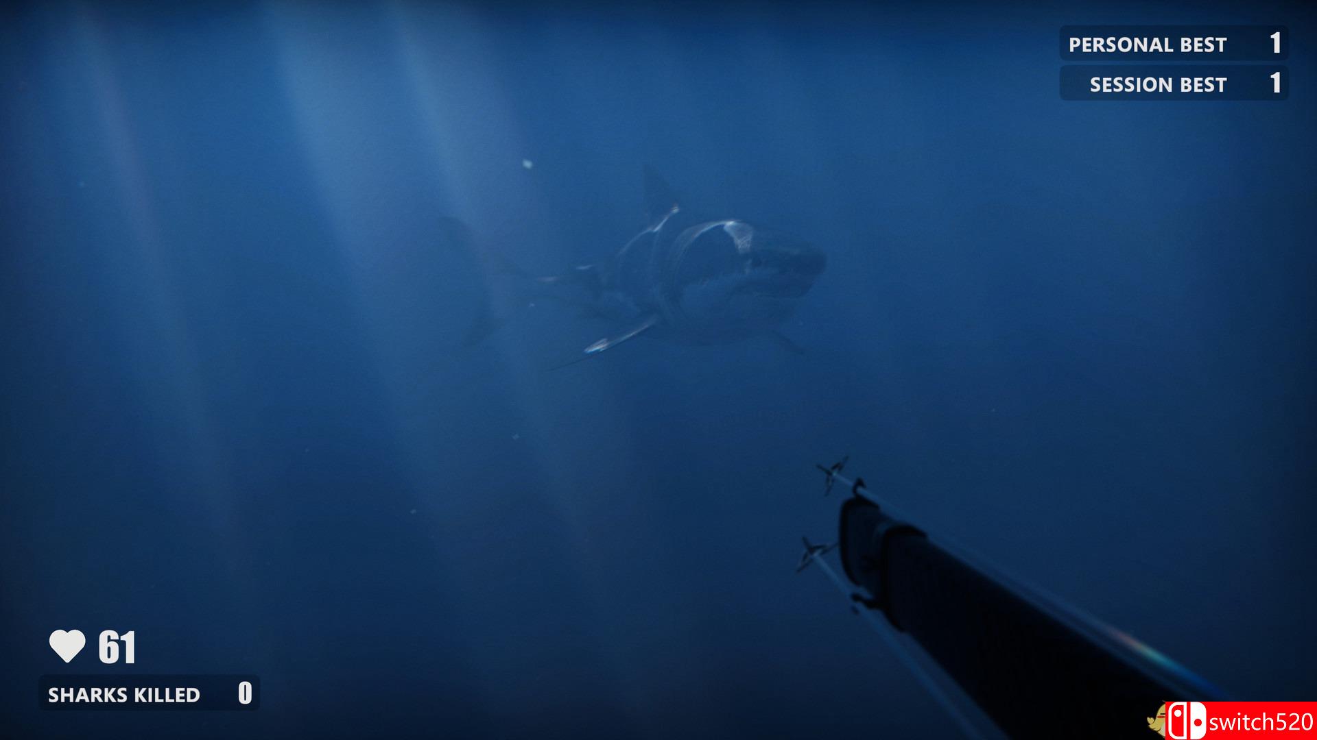 《死亡水域（Death in the Water）》DARKZER0硬盘版[CN/EN]_5