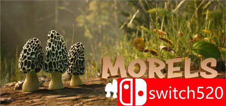 《羊肚菌：狩猎》游戏主图