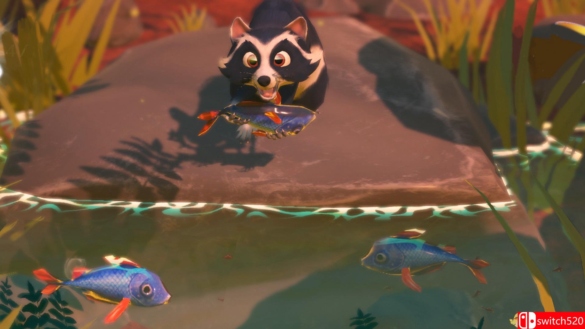 《巴亚拉》游戏截图5