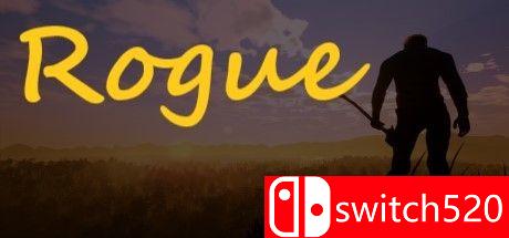 《流氓（Rogue）》CODEX镜像版游戏主图