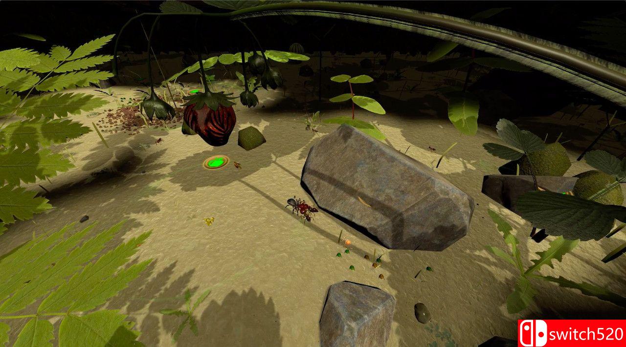 《蚁后3D》游戏截图5