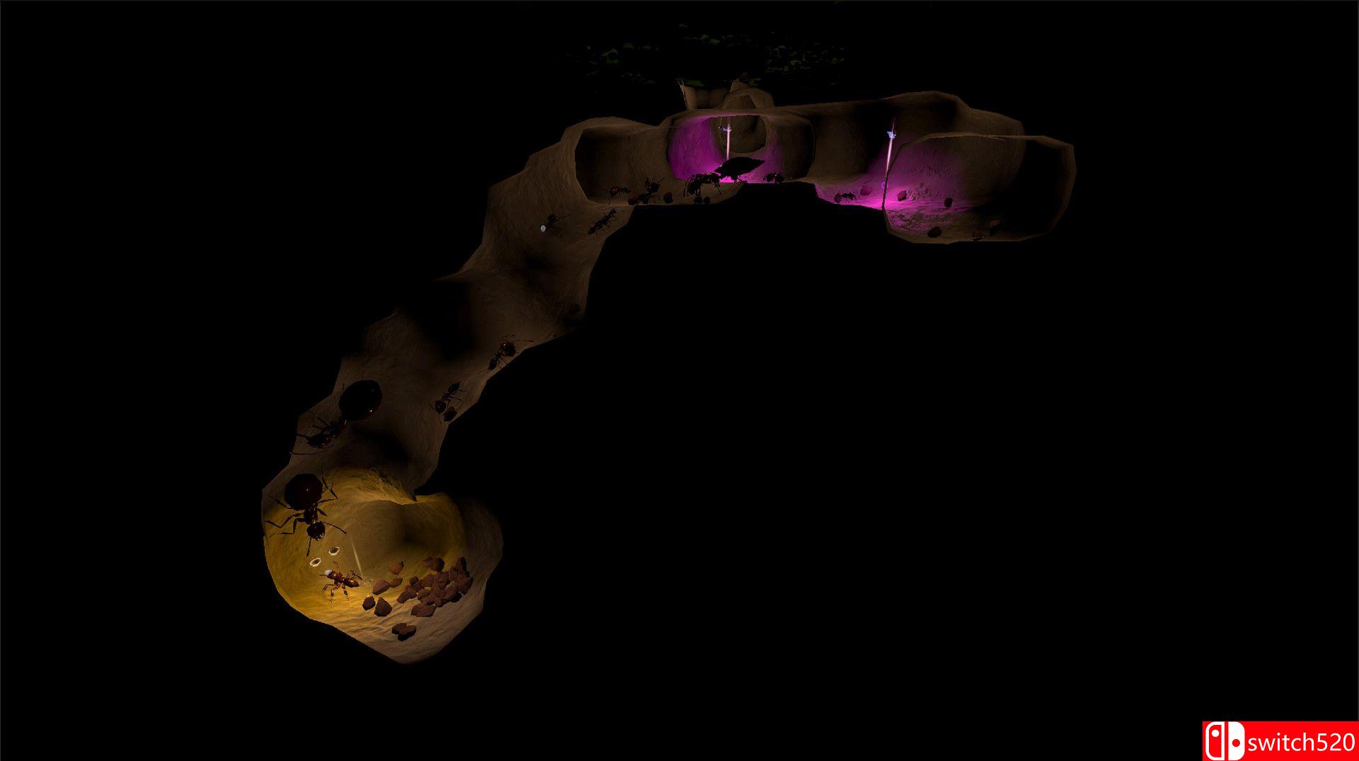 《蚁后3D》游戏截图2