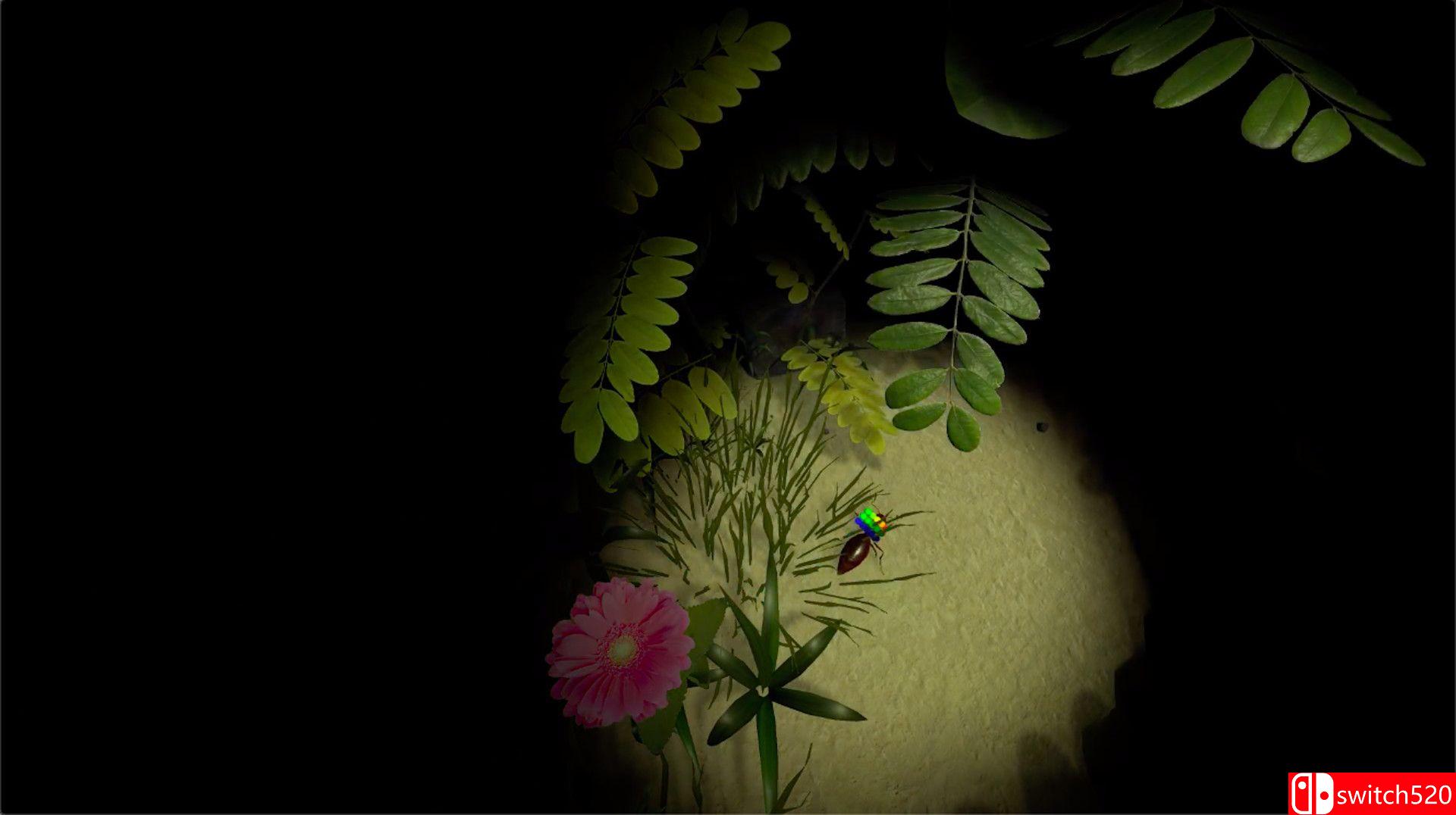 《蚁后3D》游戏截图1